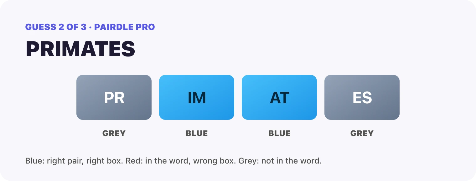 Guess 2, PRIMATES: PR grey, IM blue, AT blue, ES grey.